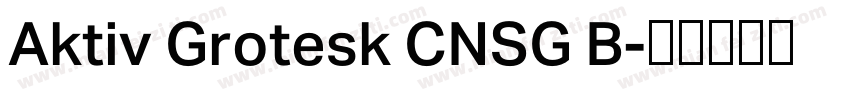 Aktiv Grotesk CNSG B字体转换
